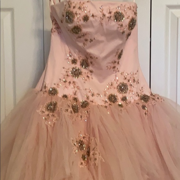 Cinderella Gown - Picture 2 of 5